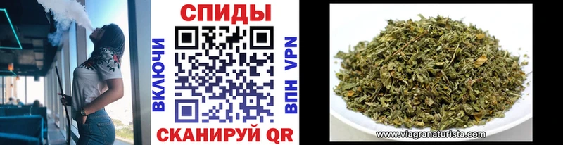 KRAKEN вход  Будённовск  БУТИРАТ Butirat 